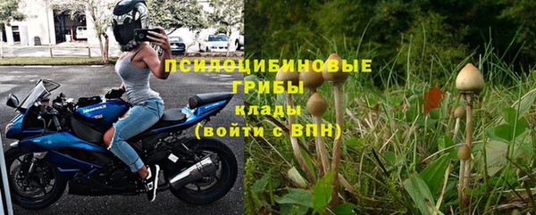 ГАЛЛЮЦИНОГЕННЫЕ ГРИБЫ Алзамай