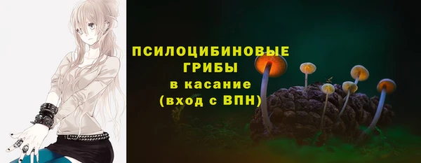 ГАЛЛЮЦИНОГЕННЫЕ ГРИБЫ Алзамай
